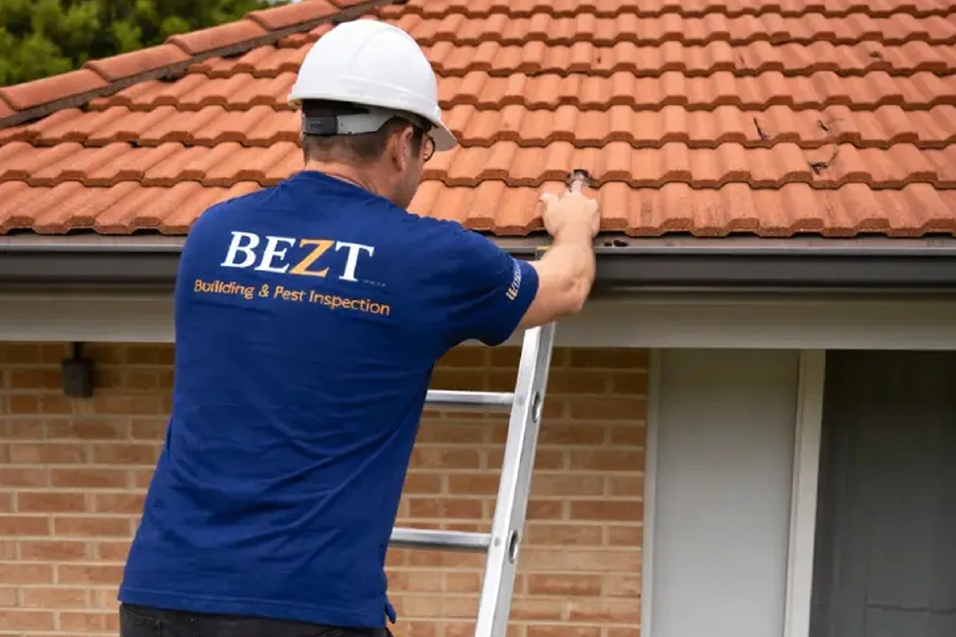 Building and Pest Inspection Cranbourne